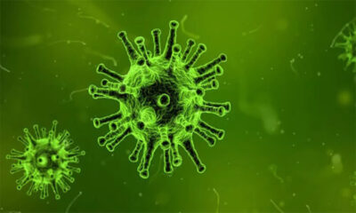 Rota Virüsü Nedir? Belirtileri ve Tedavi Yöntemleri Nelerdir?
