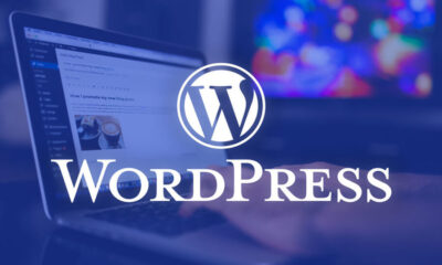 WordPress Kategori Oluştururken Nelere Dikkat Edilmeli?