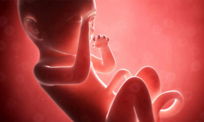 Hamileliğin 29 Haftası, 29 Hafta Gebelikte Gelişim ve Yaşananlar