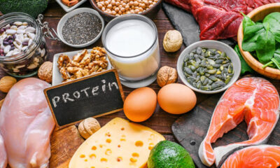 Protein İçeren Besinler Nelerdir?